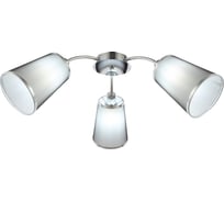 Потолочная люстра Evoluce MALEONTE SLE103002-03