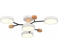 Потолочная люстра Evoluce FAEMA SLE6006-502-04