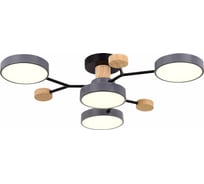 Потолочная люстра Evoluce FAEMA SLE6006-702-04