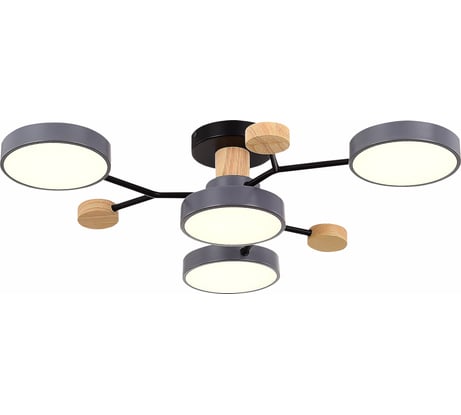 Потолочная люстра Evoluce FAEMA SLE6006-702-04