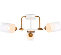 Потолочная люстра Ambrella Light TRADITIONAL TR303321