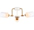 Потолочная люстра Ambrella Light TRADITIONAL TR303321 1