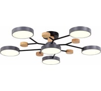 Потолочная люстра Evoluce FAEMA SLE6006-702-06