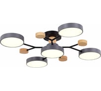 Потолочная люстра Evoluce FAEMA SLE6006-702-05