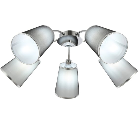 Потолочная люстра Evoluce MALEONTE SLE103002-05