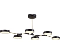Люстра на штанге Evoluce MONTA SLE6004-402-06