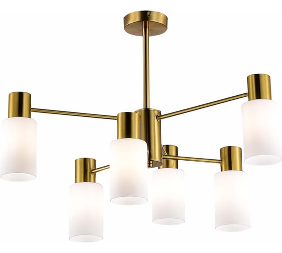 Люстра на штанге Evoluce GESSI SLE1139-302-06 1