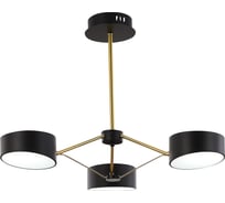 Люстра на штанге Evoluce VALLE SLE6005-402-03