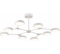 Люстра на штанге Evoluce MONTA SLE6003-502-08