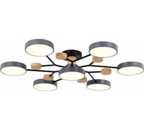 Потолочная люстра Evoluce FAEMA SLE6006-702-07