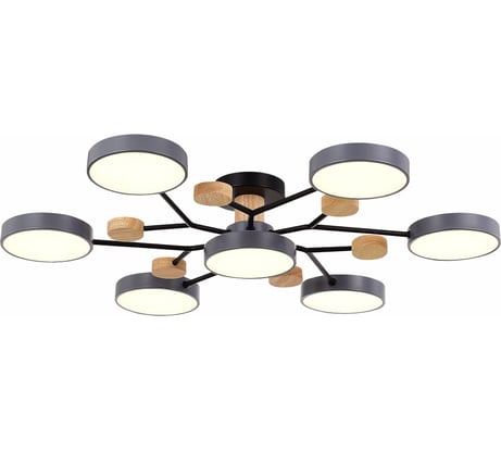 Потолочная люстра Evoluce FAEMA SLE6006-702-07