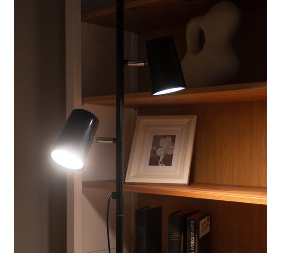 Напольный торшер Uniel светодиодный ulm-t600 2x6w/4500k/dim black UL-00010174