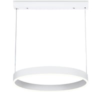 Подвесной светильник Ambrella Light ACRYLICA FA6605