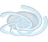 Накладной светильник Ambrella Light ACRYLICA FA505 2