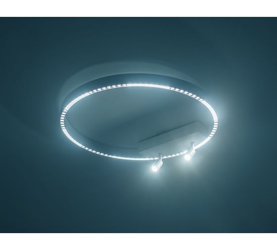 Накладной светильник Ambrella Light COMFORT FL5807