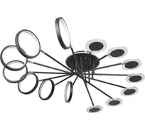 Потолочная люстра LOFT IT Megan 10164L Black