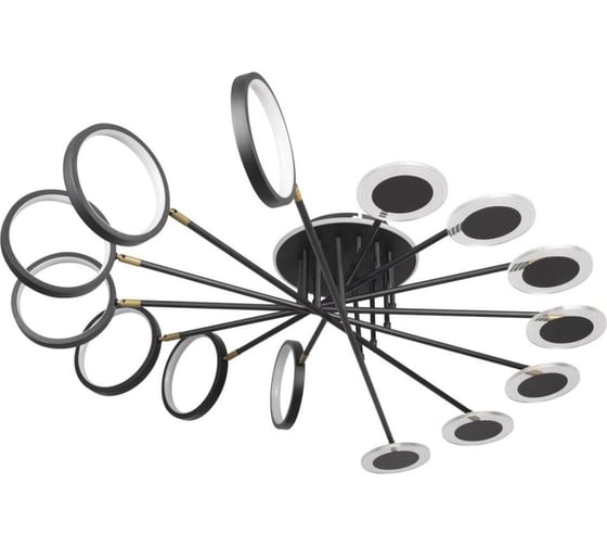 Потолочная люстра LOFT IT Megan 10164L Black