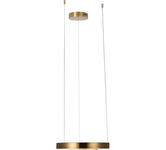 Подвесной светильник LOFT IT Ring 10013S