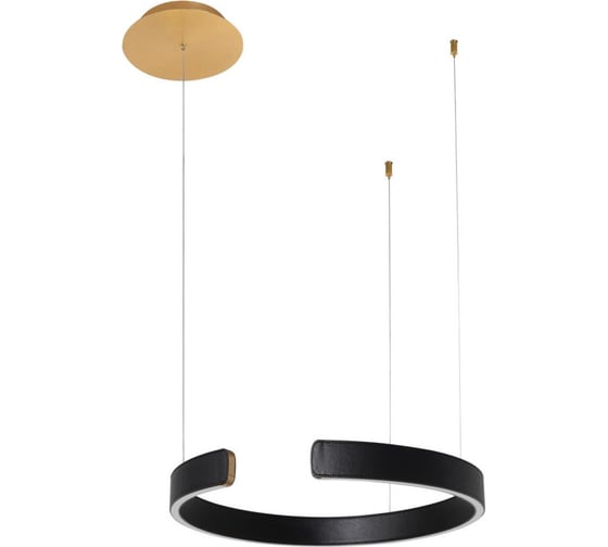 Подвесной светильник LOFT IT Ring 10025/400 Black