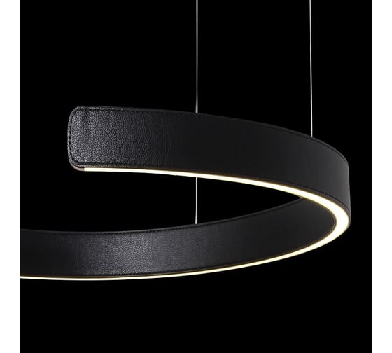 Подвесной светильник LOFT IT Ring 10025/400 Black