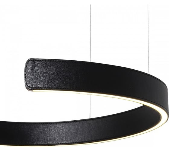 Подвесной светильник LOFT IT Ring 10025/400 Black