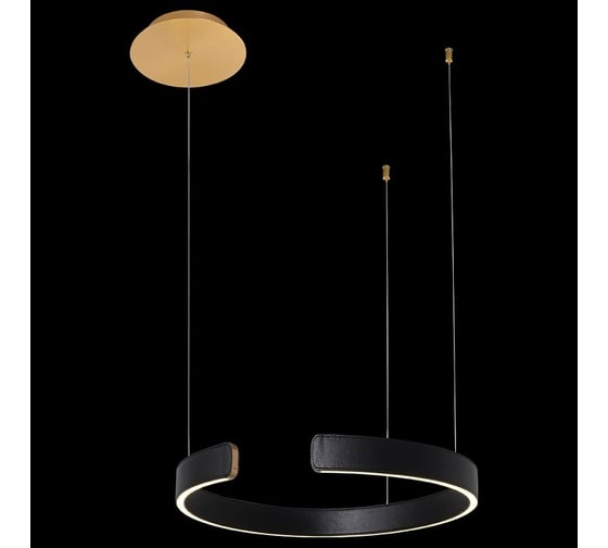 Подвесной светильник LOFT IT Ring 10025/400 Black