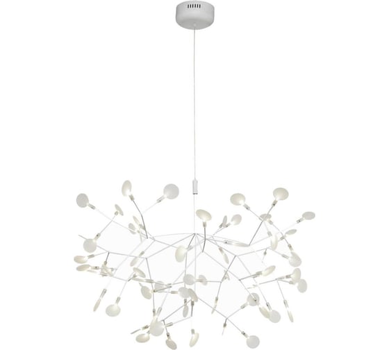 Подвесная люстра LOFT IT Heracleum 9022-63W