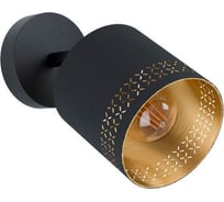 Спот Eglo ESTEPERRA 99276