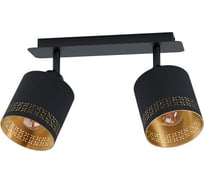 Спот Eglo ESTEPERRA 99277