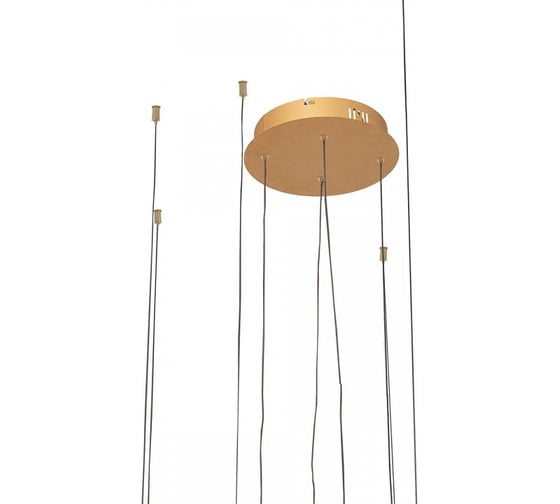 Подвесной светильник LOFT IT Ring 10017/4L