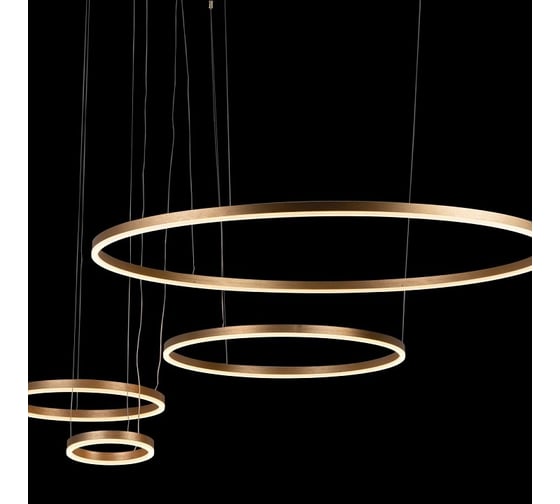 Подвесной светильник LOFT IT Ring 10017/4L