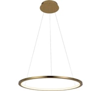 Подвесной светильник LOFT IT Ring 10014M
