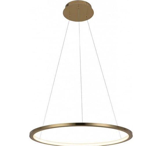 Подвесной светильник LOFT IT Ring 10014M
