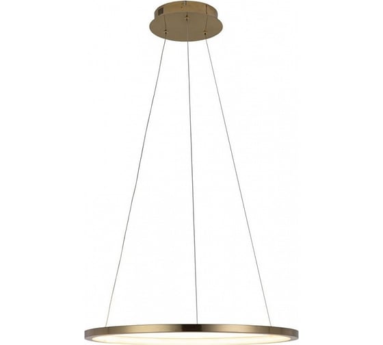 Подвесной светильник LOFT IT Ring 10014M