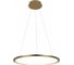 Подвесной светильник LOFT IT Ring 10014M 2
