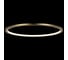 Подвесной светильник LOFT IT Ring 10014M 5