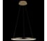 Подвесной светильник LOFT IT Ring 10014M 6