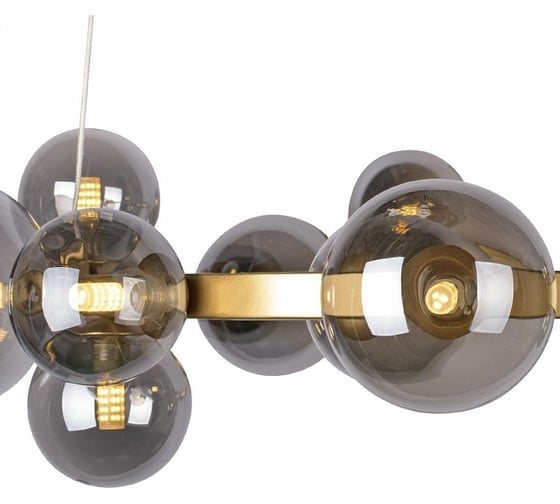Подвесная люстра LOFT IT Molecule 10139/850