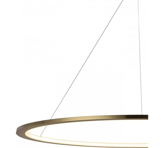 Подвесной светильник LOFT IT Ring 10014XXL