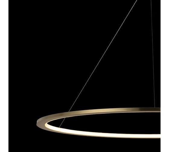 Подвесной светильник LOFT IT Ring 10014XXL