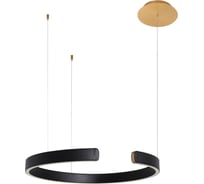 Подвесной светильник LOFT IT Ring 10025/600 Black