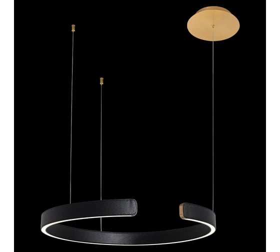 Подвесной светильник LOFT IT Ring 10025/600 Black