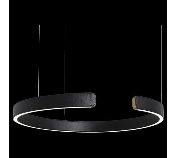 Подвесной светильник LOFT IT Ring 10025/600 Black