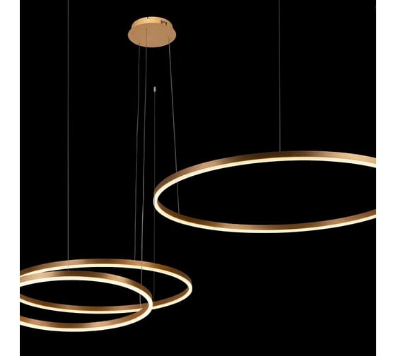 Подвесной светильник LOFT IT Ring 10017/3M