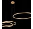 Подвесной светильник LOFT IT Ring 10017/3M 3