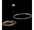 Подвесной светильник LOFT IT Ring 10017/3M 6
