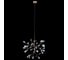 Подвесная люстра LOFT IT Heracleum 9022-45 5