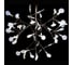 Подвесная люстра LOFT IT Heracleum 9022-45 6