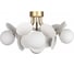 Потолочная люстра LOFT IT Matisse 10008/6C White 2