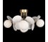 Потолочная люстра LOFT IT Matisse 10008/6C White 4